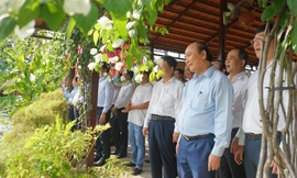 Chủ tịch nước thăm một số mô hình kinh tế hợp tác tại Đồng Tháp