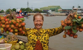 Thương hồ chợ nổi