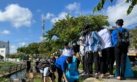  Tuổi trẻ Cần Thơ cần góp sức giải quyết việc mới, việc khó của cộng đồng