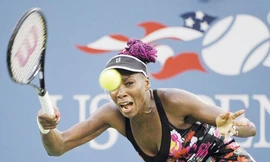 U.S. Open 2013: Murray thăng hoa, Venus bị loại