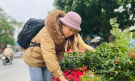 Chợ hoa Hoàng Hoa Thám rực rỡ, náo nhiệt mùa cận Tết
