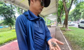 Hà Nội: Gian hàng hội chợ dời đi, đinh vít rải nhan nhản lòng đường, vỉa hè