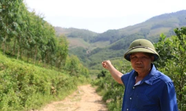 Nghịch lý ở Tuyên Quang: Đập tích nước, dân vẫn thiếu nước – mất cả ruộng lẫn rừng