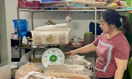 Cơ sở sản xuất giò chả sử dụng chất cấm bị công an ‘sờ gáy’