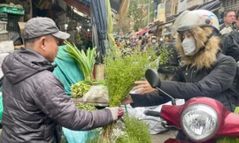 Hương mùi già về phố, báo hiệu Tết rất gần