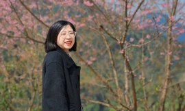 Mê mẩn những vườn mai anh đào trên cao nguyên trắng Bắc Hà