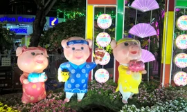 Ngắm đàn “Hợi” khủng của TPHCM đón Tết nguyên đán