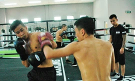 Võ sĩ Trần Văn Thảo luyện công xuyên tết để tranh đai vô địch thế giới