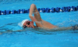 Thực hư việc kình ngư Huy Hoàng nhận thưởng Tết bằng... hoa