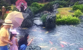 Công viên cá koi triệu đô nhộn nhịp dịp lễ 30/4 và 1/5