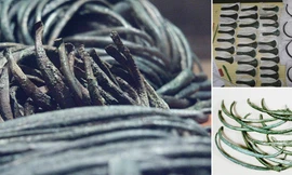 ‘Đồng tiền chung’ đầu tiên của châu Âu xuất hiện từ thời tiền sử