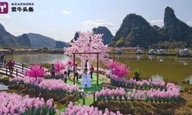 Chàng trai xây ‘đảo tình yêu’ cho bạn gái cũ, không ngờ thành điểm du lịch hút khách