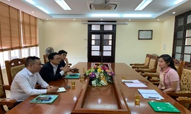 Bà Trần Huyền Trang, tân Phó giám đốc Sở Kế hoạch và Đầu tư Vĩnh Phúc, trong một buổi làm việc với với đoàn công tác Hàn Quốc. Ảnh: Sở KH-ĐT Vĩnh Phúc 