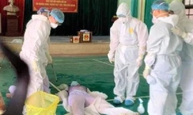 Bản tin 8H: Nhân viên y tế ngất xỉu khi lấy mẫu xét nghiệm COVID-19 ở Bắc Giang