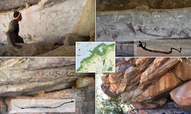 Phát hiện bức vẽ kangaroo kích thước thật có niên đại hơn 17.000 năm