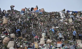 Thân vạc nơi bãi rác Nam Sơn