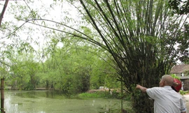 Thực hư chuyện mất mạng vì ăn thịt 'Rùa thần'