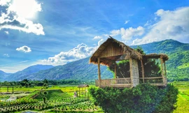 Cận cảnh những ngôi nhà 'treo mình' trên cây, 'độc' nhất Việt Nam