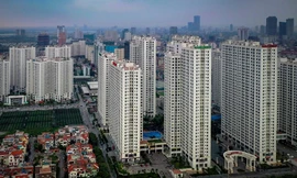 Hà Nội truy thu 35 tỷ đồng doanh nghiệp sử dụng đất sai mục đích 