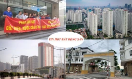 'Biến' 3.000m2 đất công thành đất tư, DN bị truy thu hàng tỷ vì sử dụng đất sai mục đích