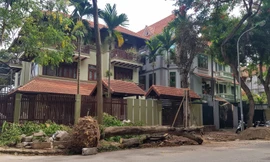 Biệt thự đô thị kiểu mẫu Hà Nội tự chặt cây, lát vỉa hè sai quy hoạch