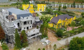 Quy hoạch rừng Sóc Sơn lộ bất cập, Hà Nội 'lệnh' rà soát để điều chỉnh