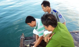 Chủ quán nhậu thả đồi mồi về biển