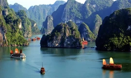 Tàu du lịch trên vịnh Cát Bà