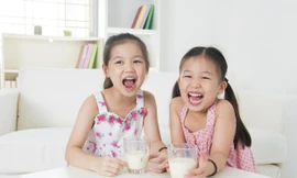 Tranh luận sữa học đường nên dùng sữa tươi hay sữa bột đang kéo dài nhiều năm nay. 