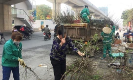 Công nhân môi trường phải chặt nhỏ cành đào để vận chuyển