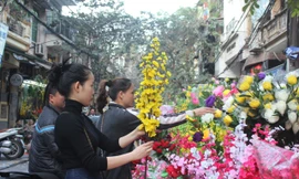 Ngày cận tết, hoa giả phong phú về chủng loại, đa dạng màu sắc bày bán trên phố thu hút khách đến mua