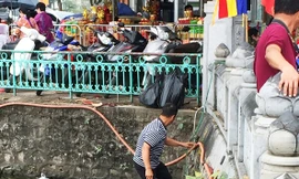 Người đàn ông đang thực hiện việc vớt rùa phóng sinh tại chùa Trấn Quốc