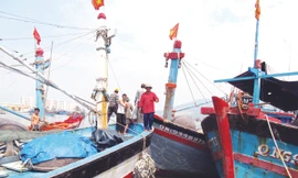 Chi phí nhiên liệu cao, tàu cá Đà Nẵng nằm bờ Ảnh: Nam Cường