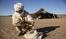 Một thợ săn thiên thạch tại Morocco đang kiểm tra mẫu vật thu được. Ảnh: AFP.