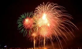 Chào đón năm mới 2019, TPHCM bắn pháo hoa tầm cao tại khu vực đường hầm vượt sông Sài Gòn và pháo hoa tầm thấp ở Công viên văn hóa Đầm Sen (quận 11)