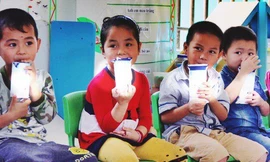 Ba đơn vị chính thức tham gia đấu thầu chương trình Sữa học đường