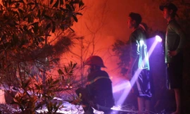 Đang cháy hàng chục ha rừng trên cát ở Quảng Bình