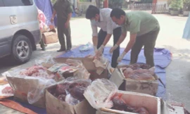 Bắt gần 300 kg nội tạng động vật hôi thối trên đường đi tiêu thụ