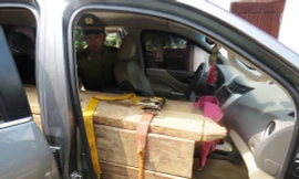 Quảng Bình: Bắt giữ ô tô gắn biển số giả chở gỗ lậu 