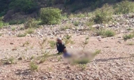 Quảng Bình: Một ngày xảy ra 3 vụ đuối nước khiến 6 người tử vong