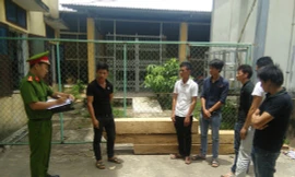 Nhóm 6 thanh niên "liều mạng" lao vào trạm bảo vệ rừng cướp gỗ. 