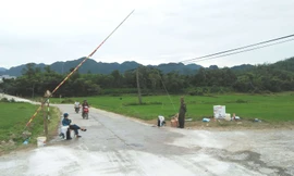 Ổ dịch tả lợn châu Phi lần đầu tiên bùng phát tại Quảng Bình