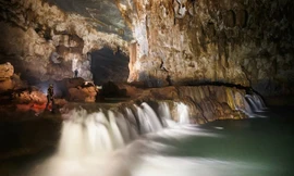 Đưa Quảng Bình đến Mỹ, giới thiệu tới các nhà làm phim Hollywood 