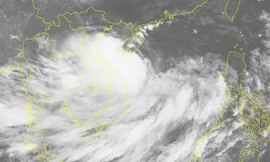 Một tàu cá phát tín hiệu cầu cứu gần tâm bão số 4