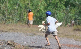 Chính quyền thông tin vụ “hôi vịt” sau tai nạn giao thông