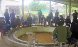 Bắt giữ nhiều đối tượng đang 'đỏ đen' tại sới gà