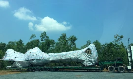 Bắt giữ xe chở cây đa 'khủng' từ Quảng Ngãi ra Hà Nội