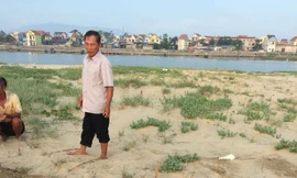 Xác cá mái chèo liên tục dạt vào bờ biển Quảng Bình – Hà Tĩnh