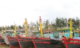 Chi 180 tỷ để ra khơi là trúng mùa