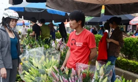 Những bó hoa ly đẹp có giá tiền triệu